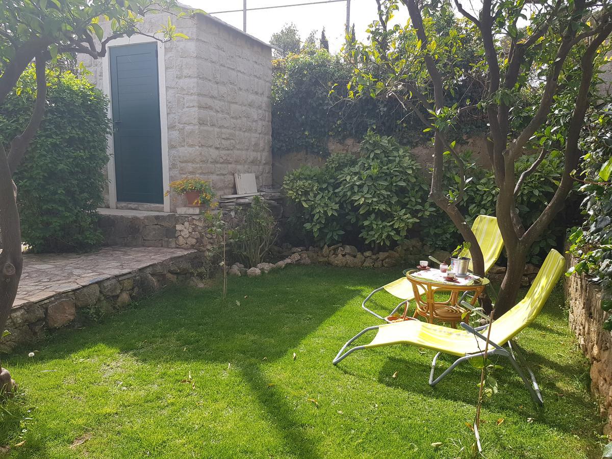 Apartment Alpha And Studio Simba Dubrovnik Exterior photo